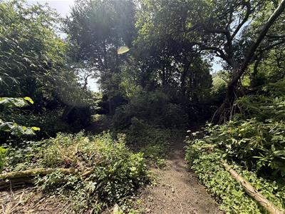 Picture 20